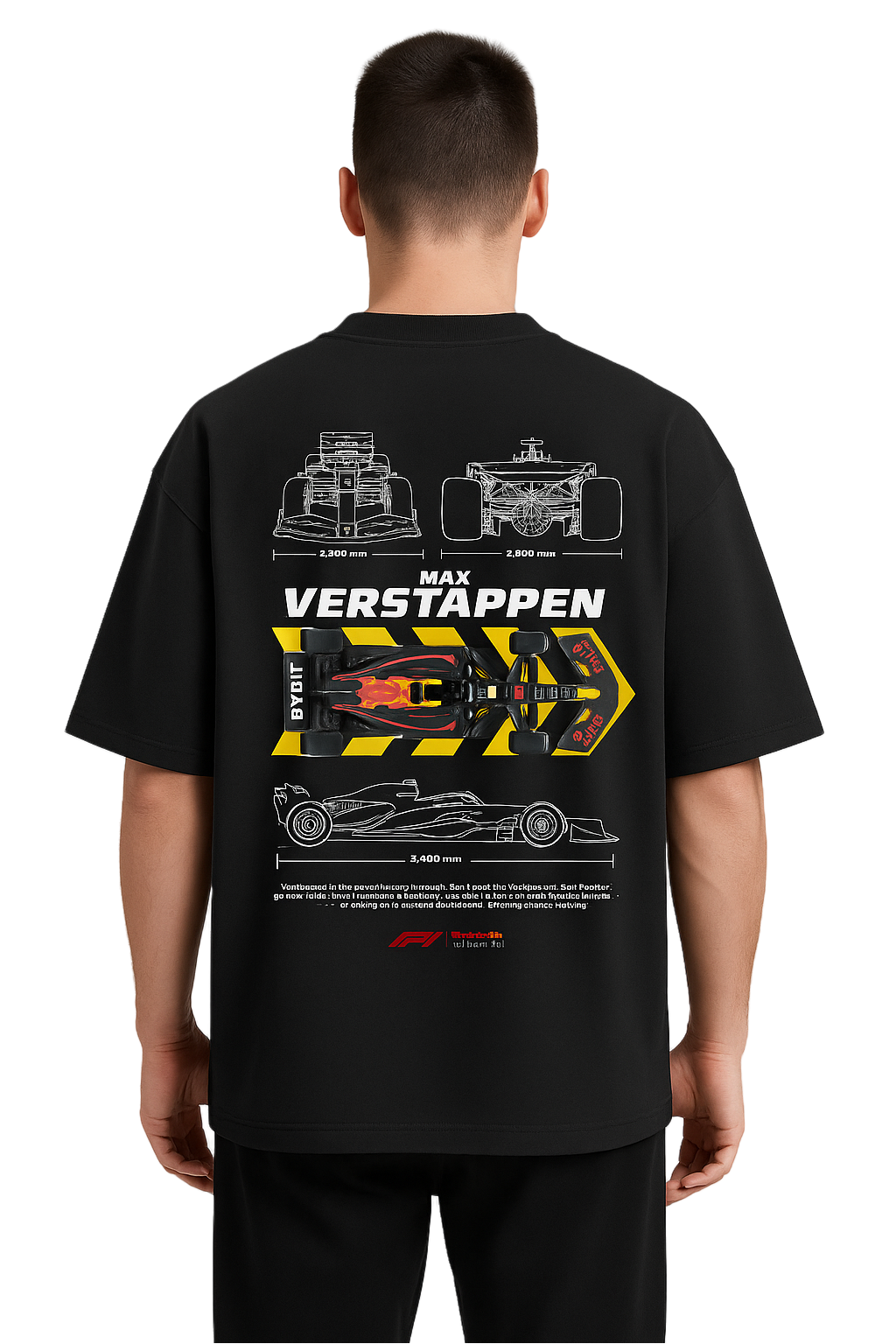 Max Verstappen F1