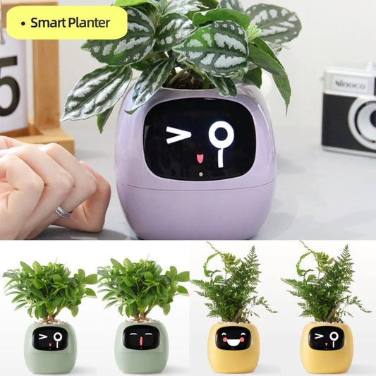 Smart AI plant pot with Interactive features - Infinite Celebrationsplant potInfinite CelebrationsInfinite Celebrations